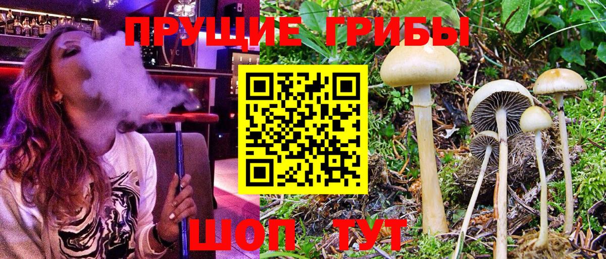APVP Каменск-Уральский