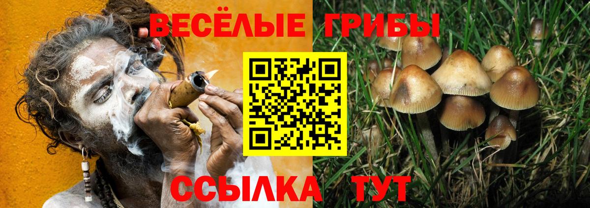 Псилоцибиновые грибы GOLDEN TEACHER Каменск-Уральский